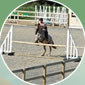 all weather arenas