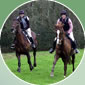 woodland and farmland rides